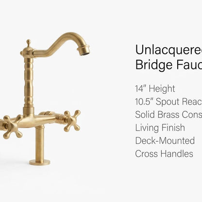 Brass farmhouse bridge kitchen faucet