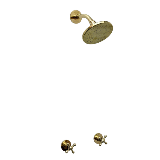 Wall mounted unlacquered brass rain shower system with a flat shower head